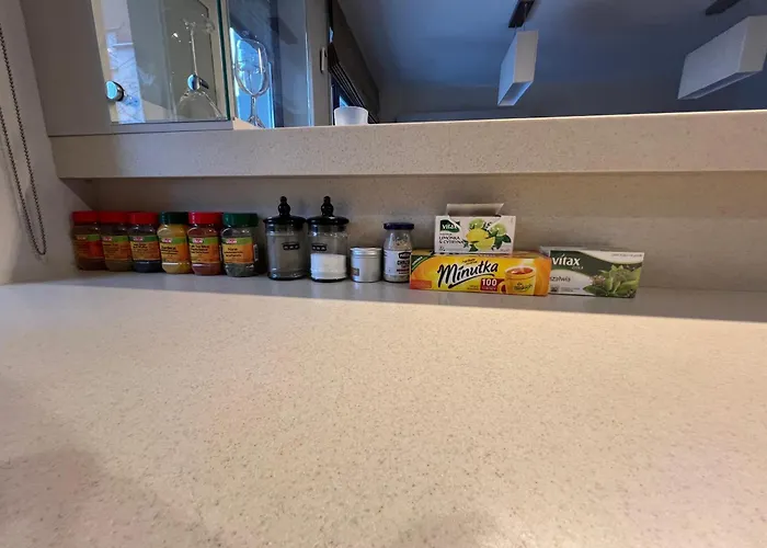 Lux Flat Easy To Reach Centrum * Βαρσοβία